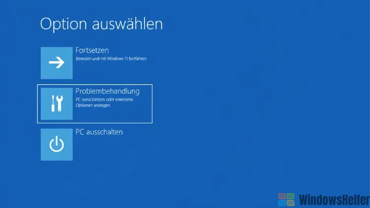 Windows Wiederherstellungsoptionen Bildschirm